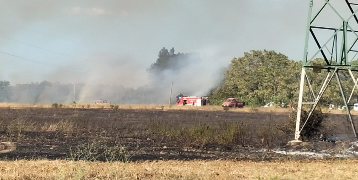 L'incendio a Follonica