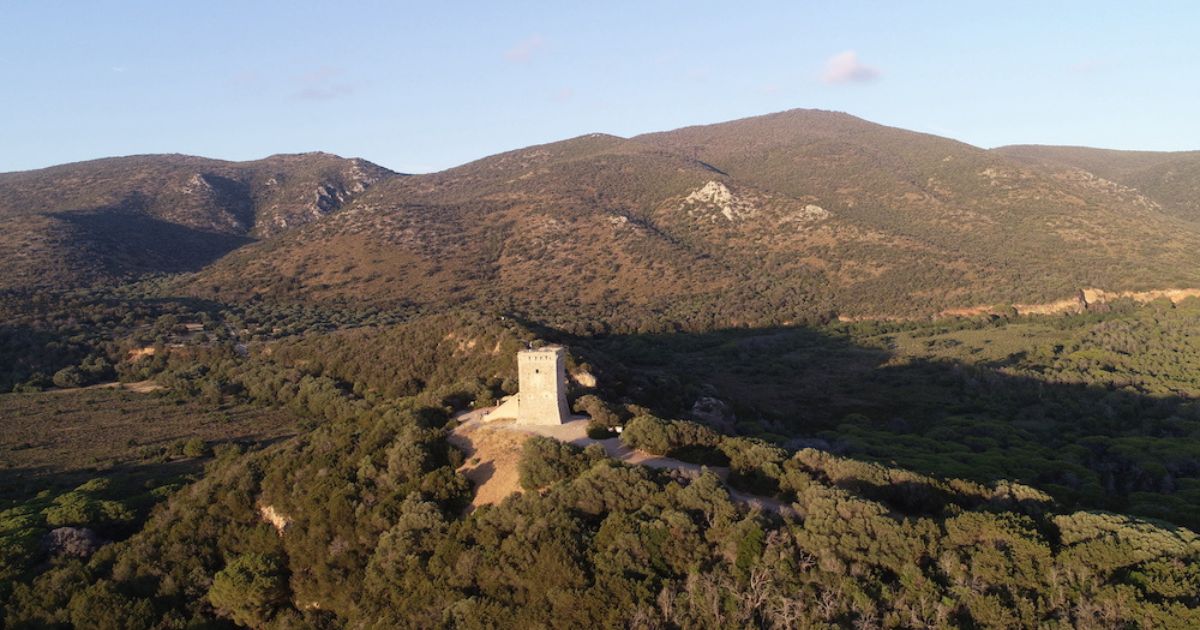 la Torre di Collelungo nel parco della Maremma