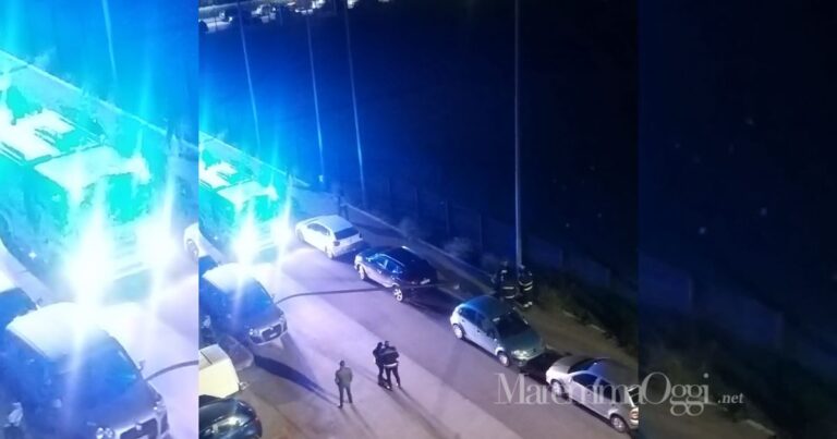 palo caduto con vigili del fuoco e polizia municipale intorno