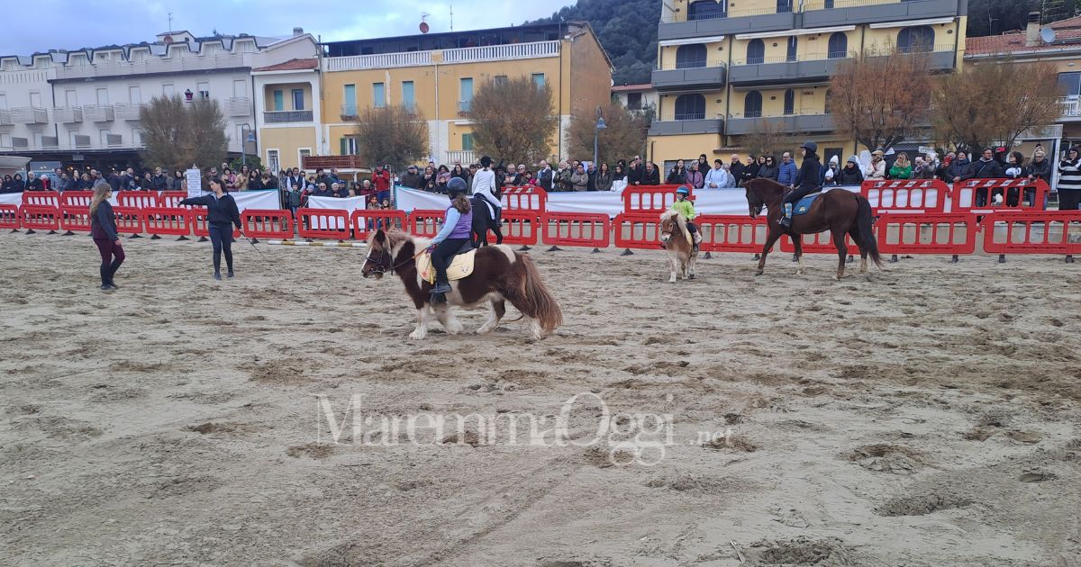 Cavalli in spiaggia a Castiglione