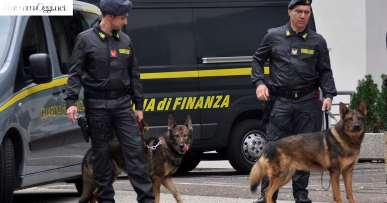 Arrestati 18enne, una pattuglia della guardia di finanza