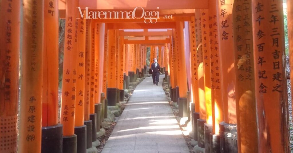 Fushimi Inari Taisha Senbon Torii (Tokio)