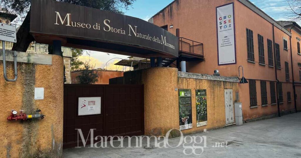 Il Museo di storia naturale di Grosseto