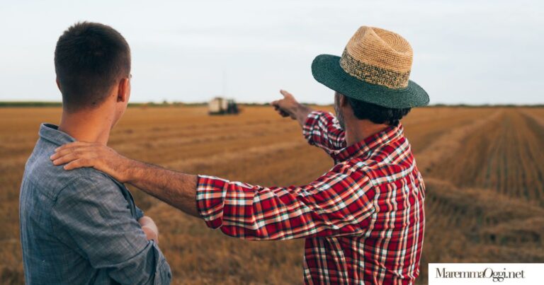 Lavoro in agricoltura
