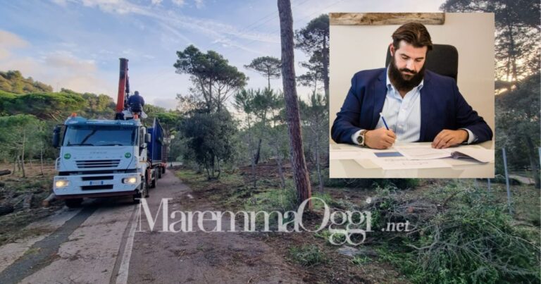 Lavori della Favilli Rinaldo Srl e nel riquadro Rinaldo favilli