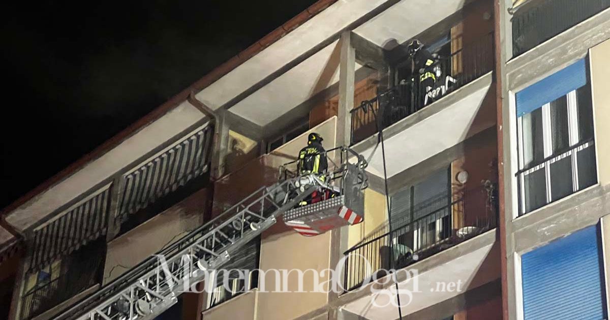 I vigili del fuoco in azione con l'autoscala