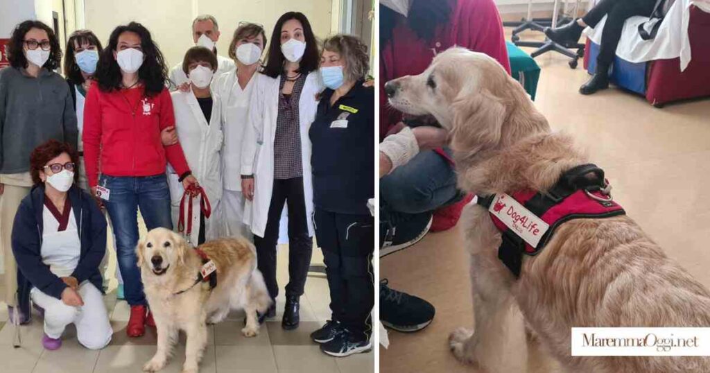 L'equipe delle Cure palliative con i volontari di Dog4Life