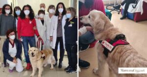 L'equipe delle Cure palliative con i volontari di Dog4Life