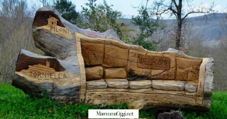 Il divano intagliato in un tronco al Belagaio