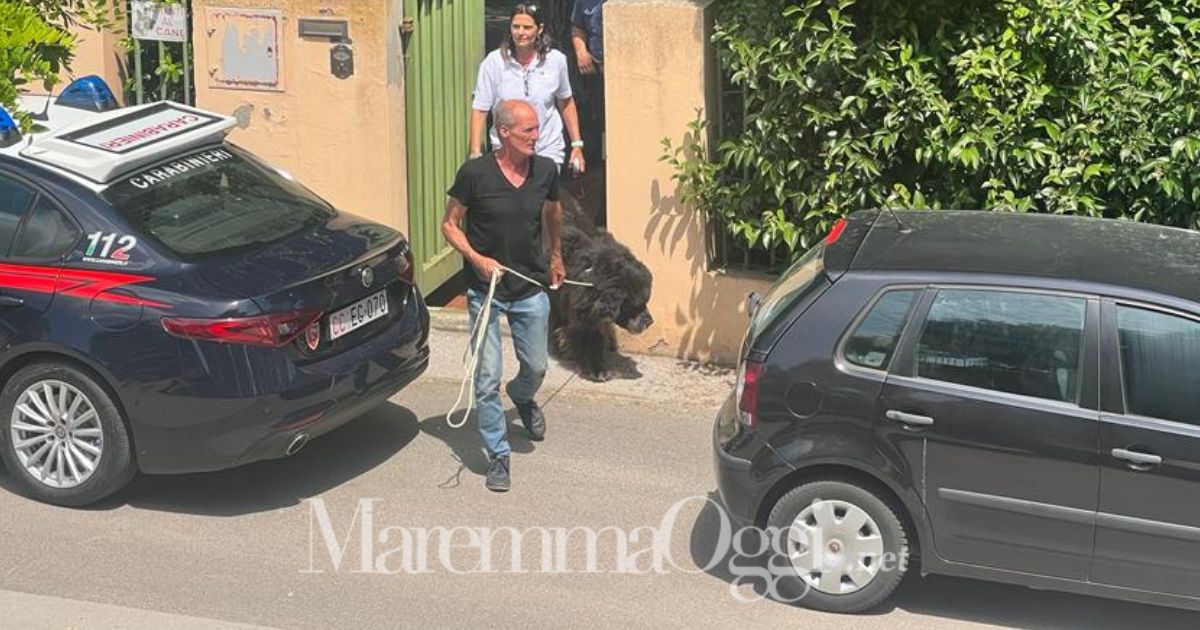Il cane terranova viene portato fuori dalla villa di Istia