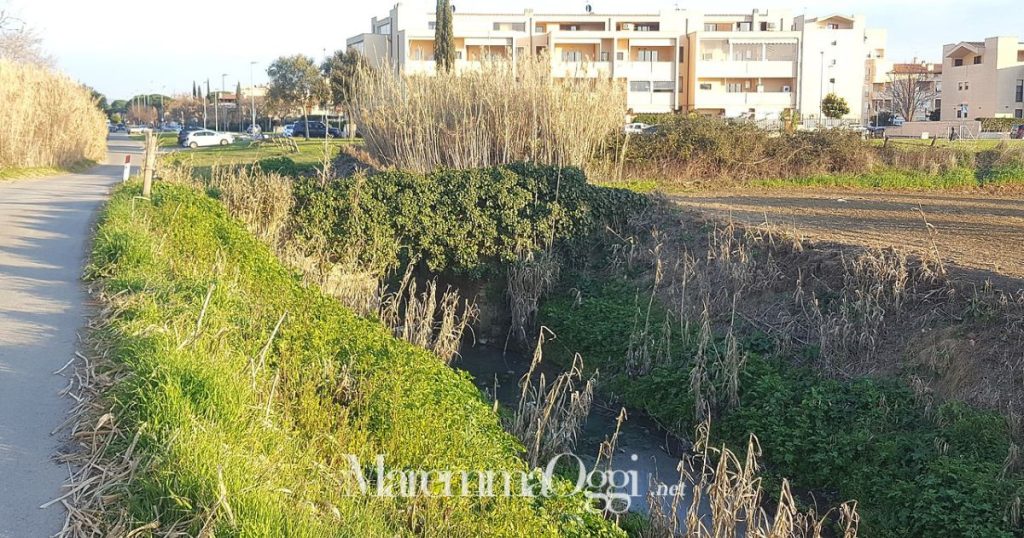 Il fosso Beveraggio nella zona delle Gemme a Barbanella