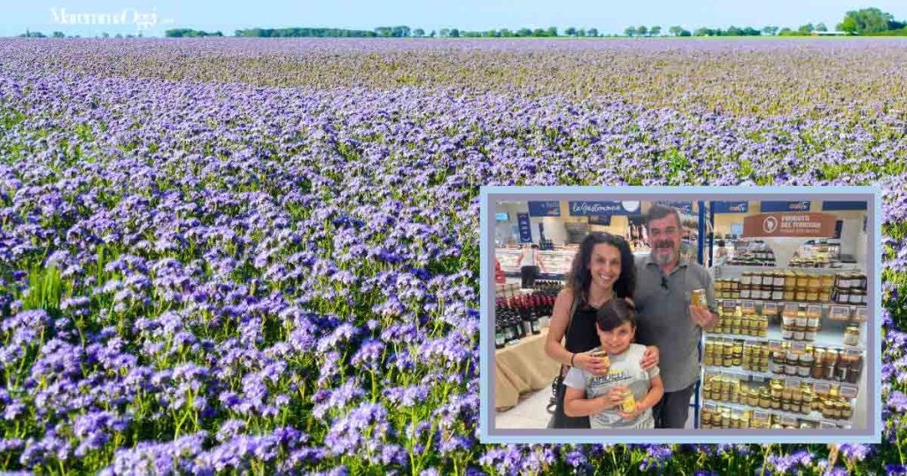 Una piantagione di facelia, con i caratteristici fiori blu e Nicola Zipeto con la famiglia, davanti allo scaffale al Conad di via Scansanese