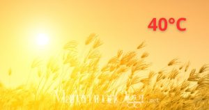Da Cerbero a Caronte: arrivano anche in Maremma temperature fino a 40°