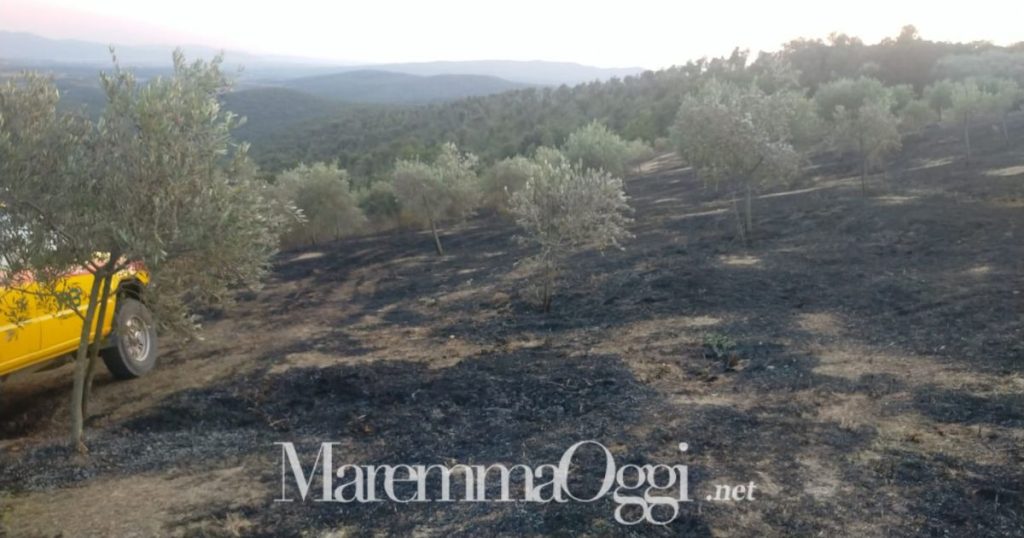 L'area dell'incendio nella zona di Montebamboli