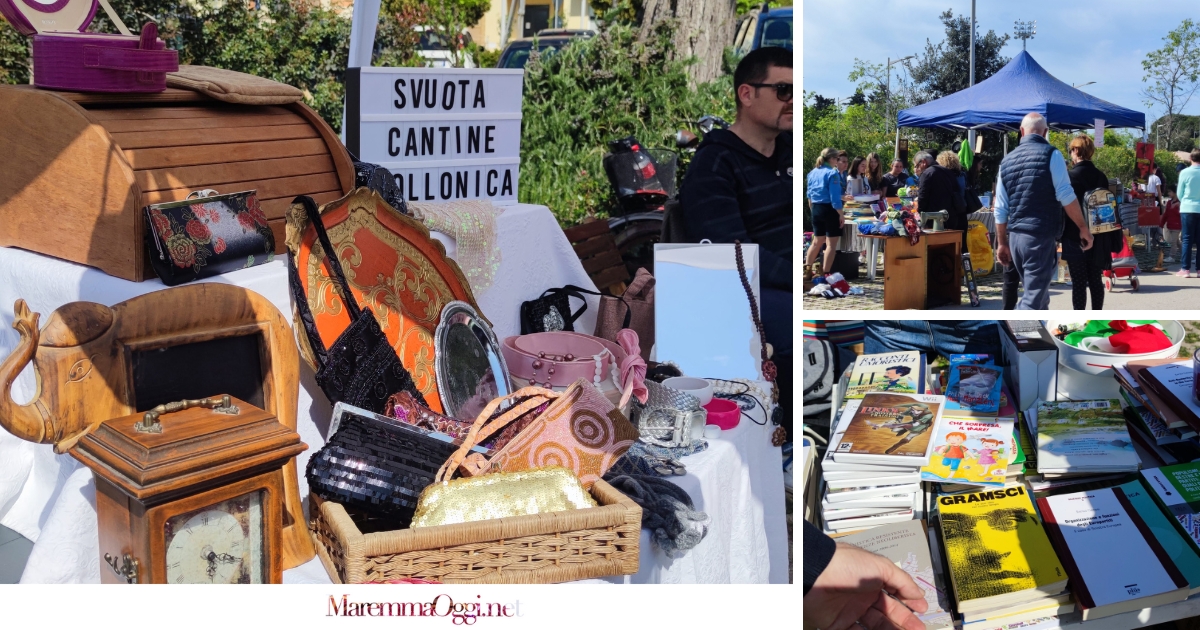 Svuota cantine follonica mercatino dell'usato