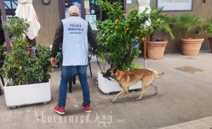 Il blitz della polizia municipale alla stazione