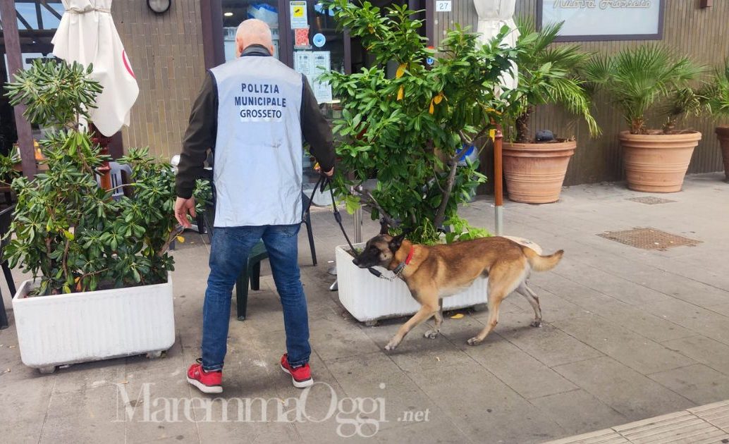 Il blitz della polizia municipale alla stazione