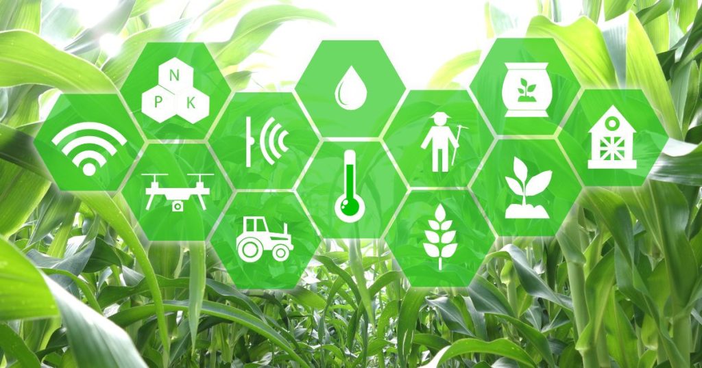Molte le applicazione dell'intelligenza artificiale in agricoltura