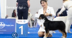 Ira, la canina campionessa del mondo di casa Sant'Anna di Massa Marittima