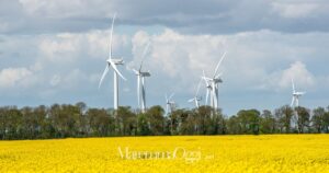 Un parco eolico (foto d'archivio)