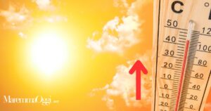 Sole e temperature in rialzo in Maremma