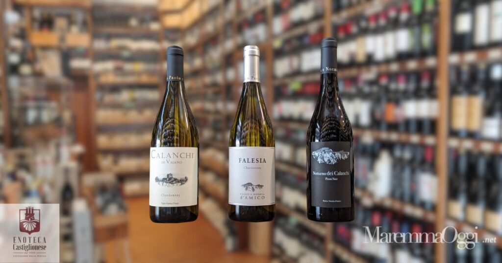 I vini di Paolo e Noemia d'Amico all'Enoteca Castiglionese