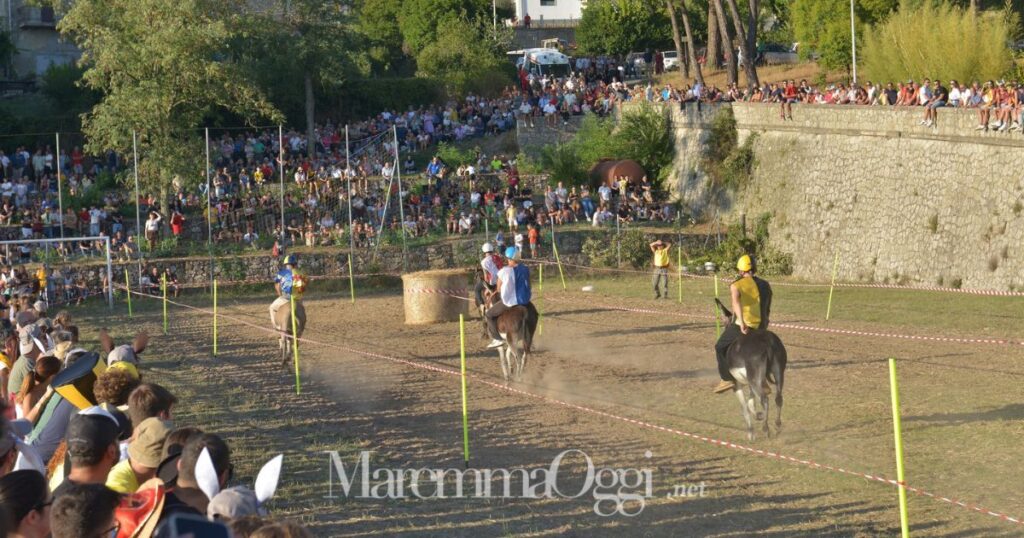 Una scorsa edizione del palio dei ciuchi a Roccastrada