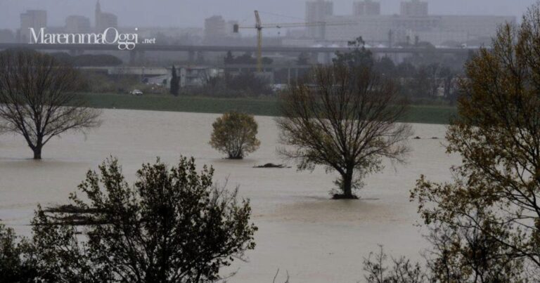 Un'immagine del fiume in golena con Grosseto sullo sfondo protetto dagli argini