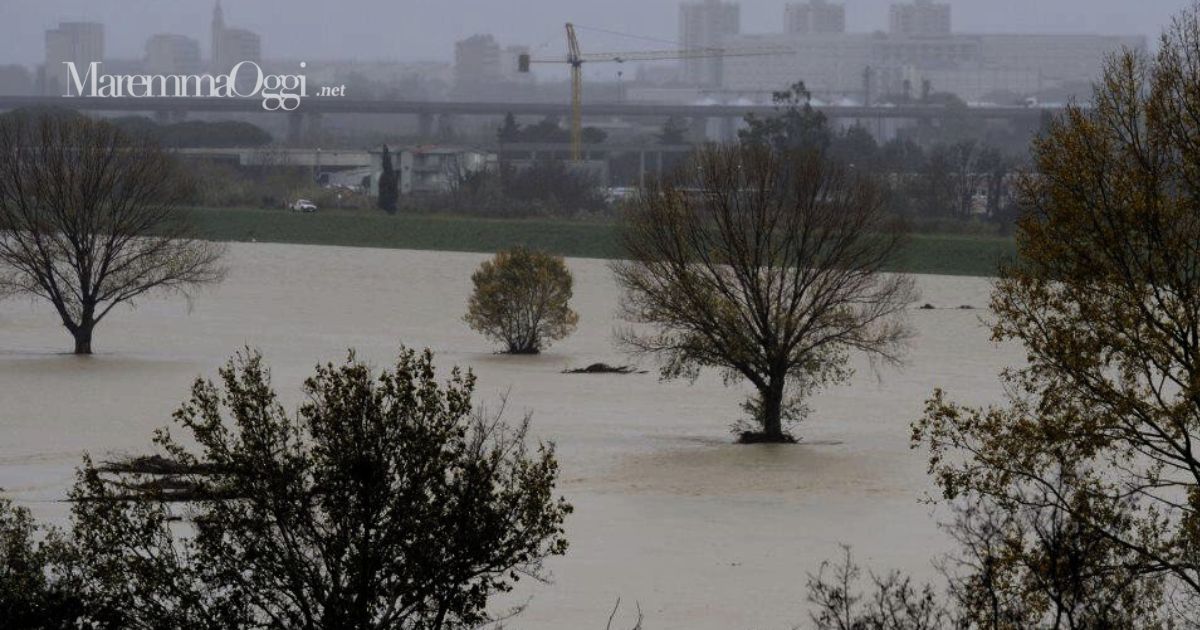 Un'immagine del fiume in golena con Grosseto sullo sfondo protetto dagli argini