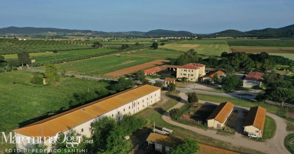 Granaio lorenese (foto di Federico Santini)