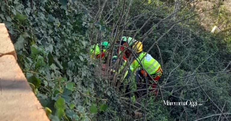 una foto dell'intervento