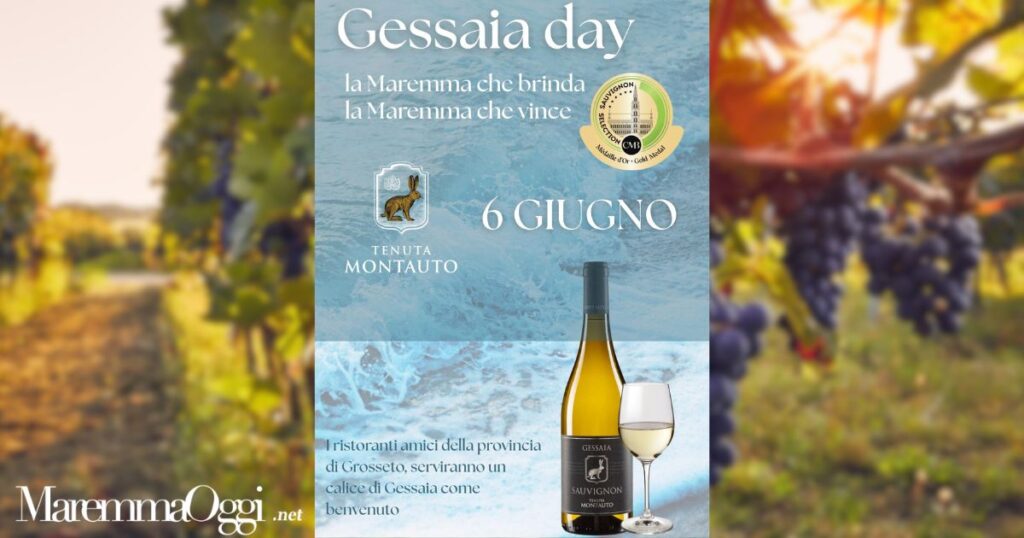 La locandina del "Gessaia day"