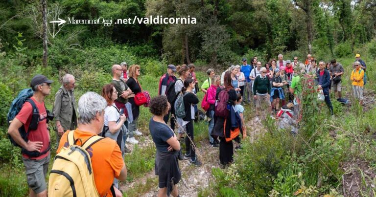 Un momento del trekking Il Corbezzolo, nei luoghi della cava di marmo