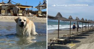Due immagini del bagno Pascià con i suoi ospiti... pelosi