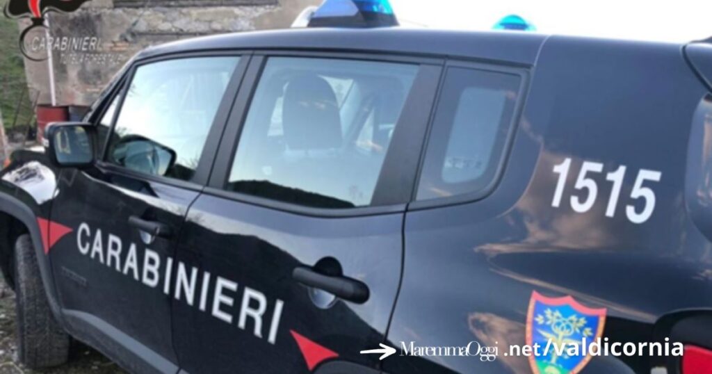 Trovati dalla Forestale 10 metri cubi di rifiuti in una proprietà privata