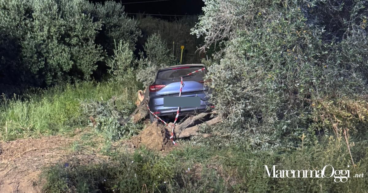 Finisce con l'auto contro un olivo e se ne va | MaremmaOggi