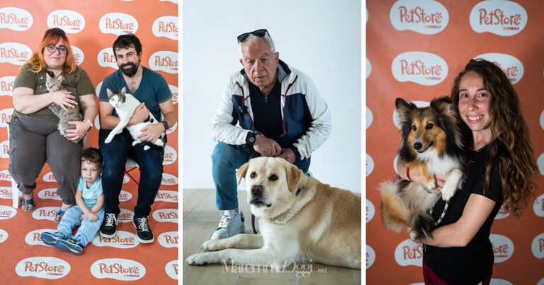 Milù, Miki, Argo e Shiba, ecco le prime Storie d'amore