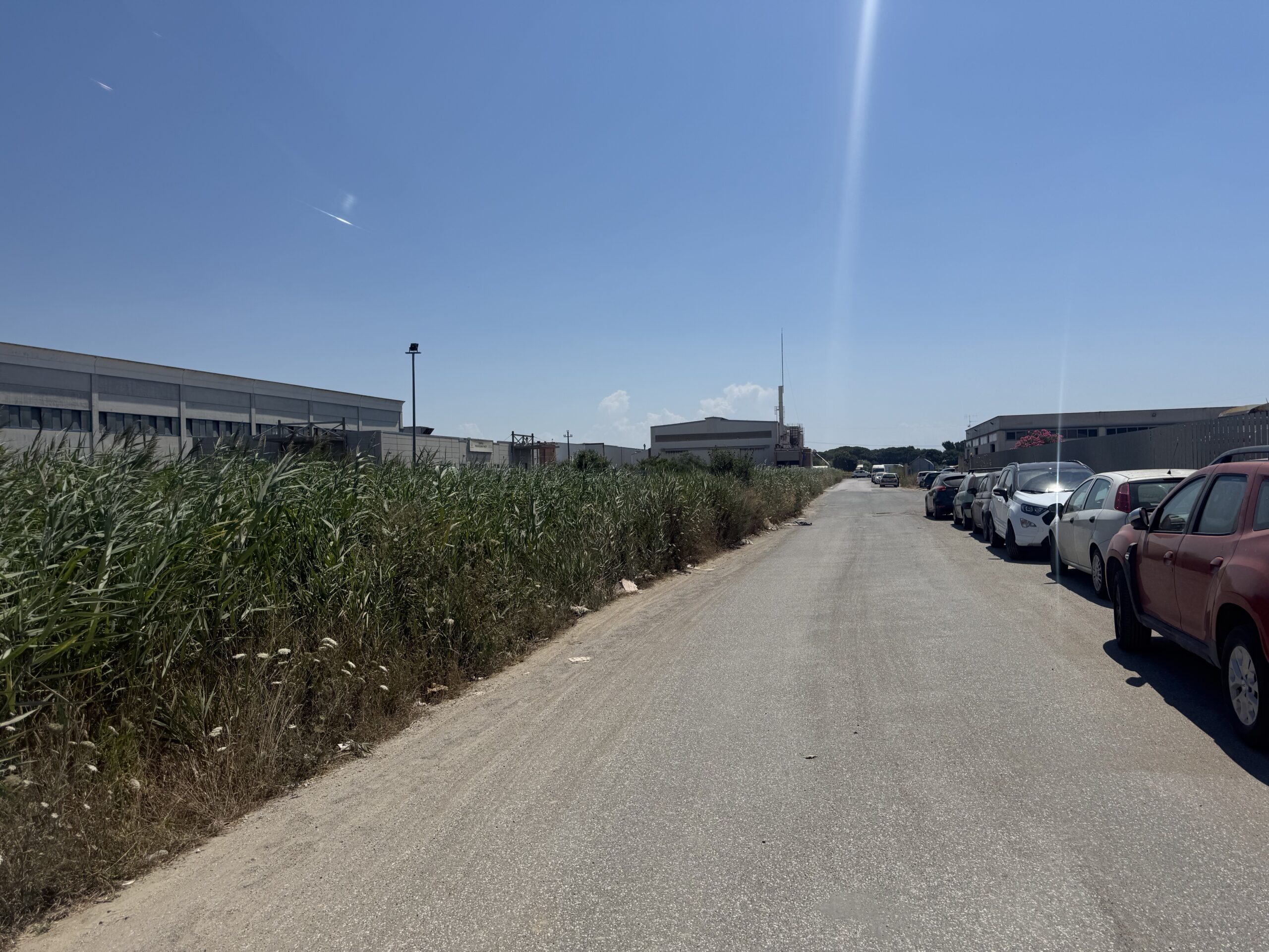 Il panorama attorno al canile