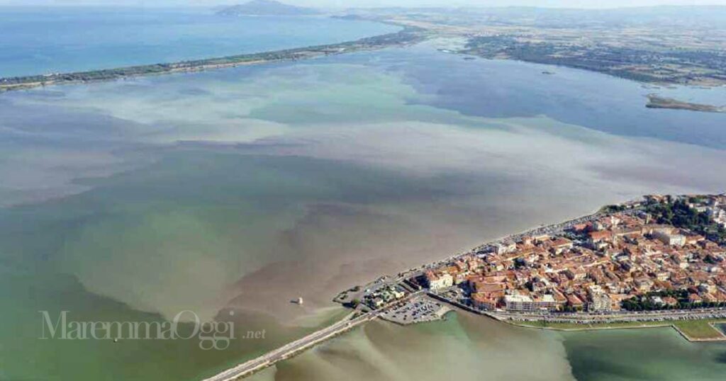 L'anossia della laguna di Orbetello nel 2024