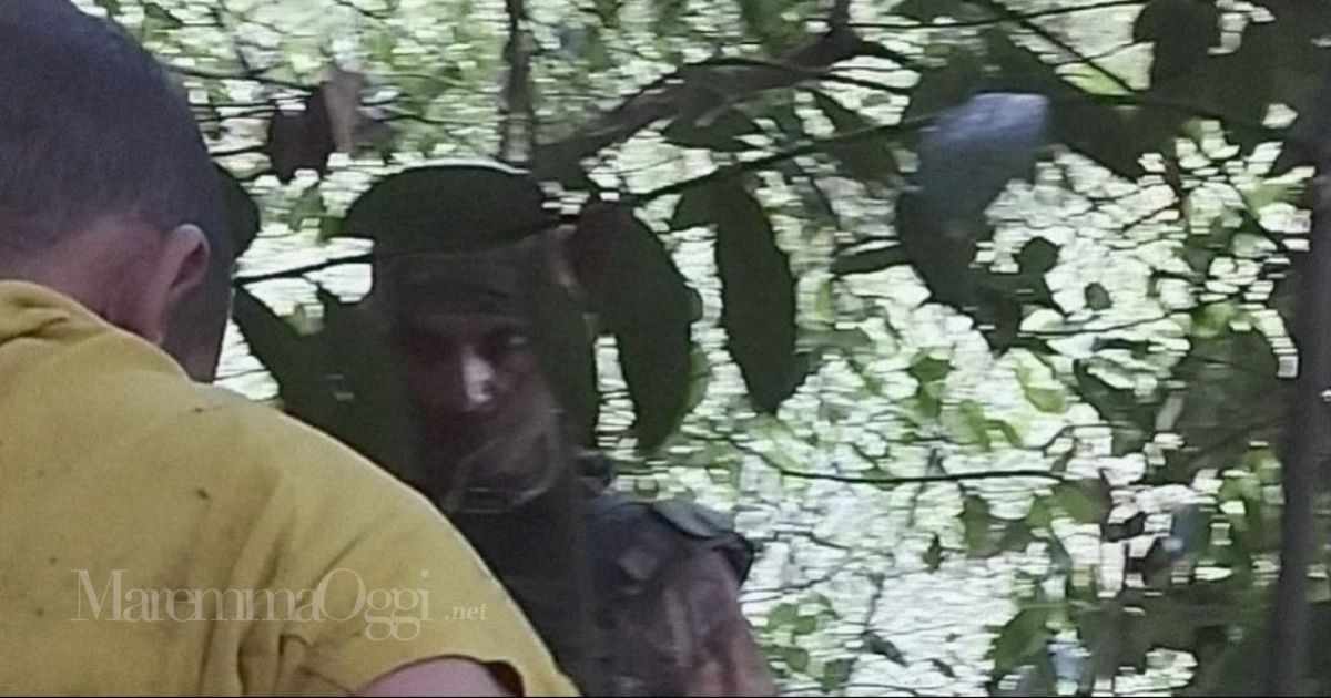 L'arresto nel bosco a Piombino