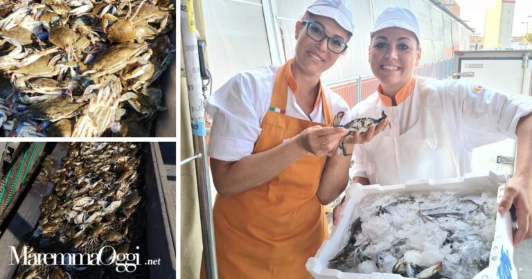 Due immagini dei granchi blu raccolti dai Pescatori e le addette alla pescheria della Conad con la prima cassetta