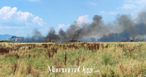 Un incendio in campagna