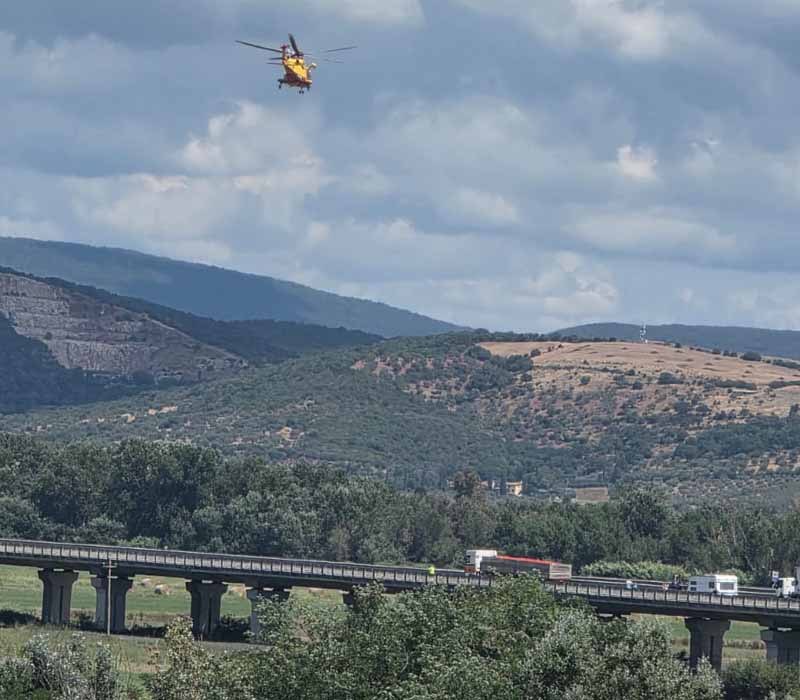 Pegaso in volo sull'Aurelia