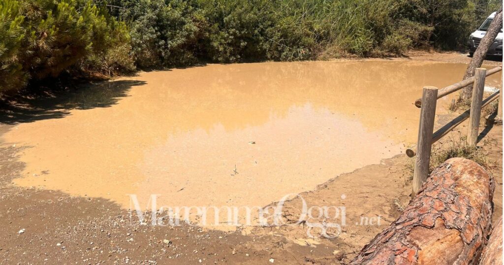 Il lago sulla strada per Fiumara