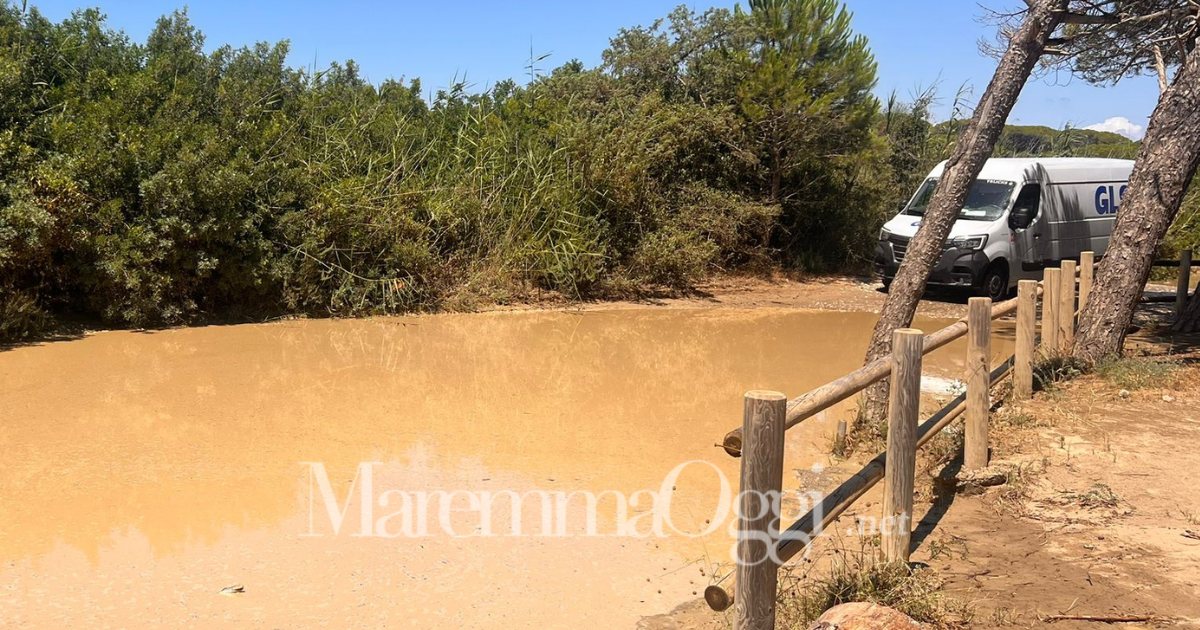 Il furgone della Gls bloccato