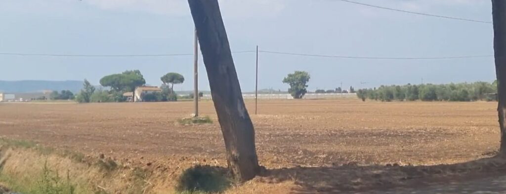 Il fertilizzante sparso per il campo e non interrato adeguatamente
