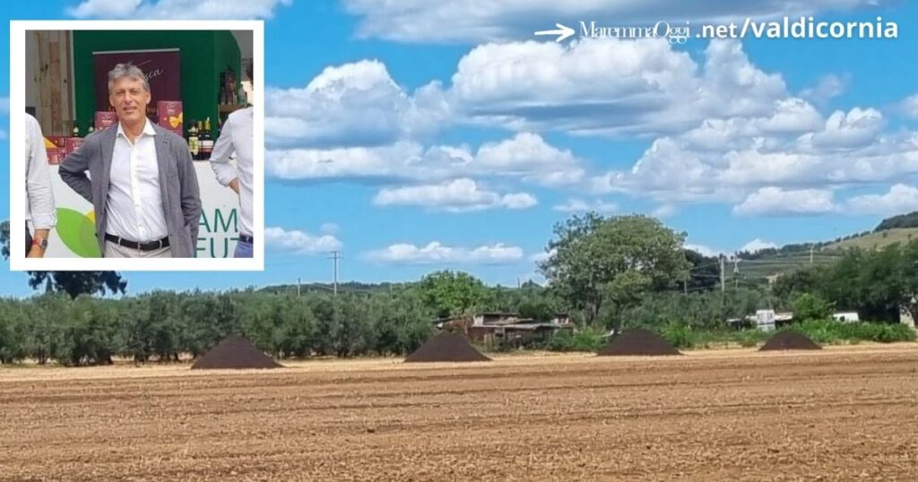 I campi di via delle Caldanelle con i fertilizzanti ammassati, nel riquadro Massimo Carlotti, presidente della Cooperativa Terre dell'Etruria