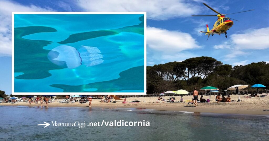 Il tratto di spiaggia dove è avvenuto l'incidente, nel riquadro un tipo particolare di medusa