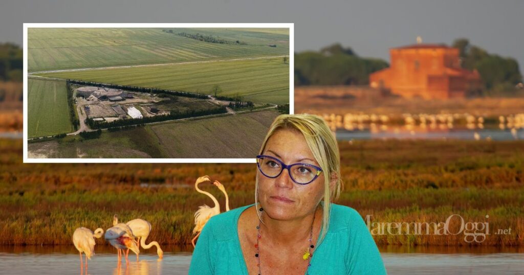 La Diaccia Botrona, l'impianto di Cernaia e la sindaca Elena Nappi