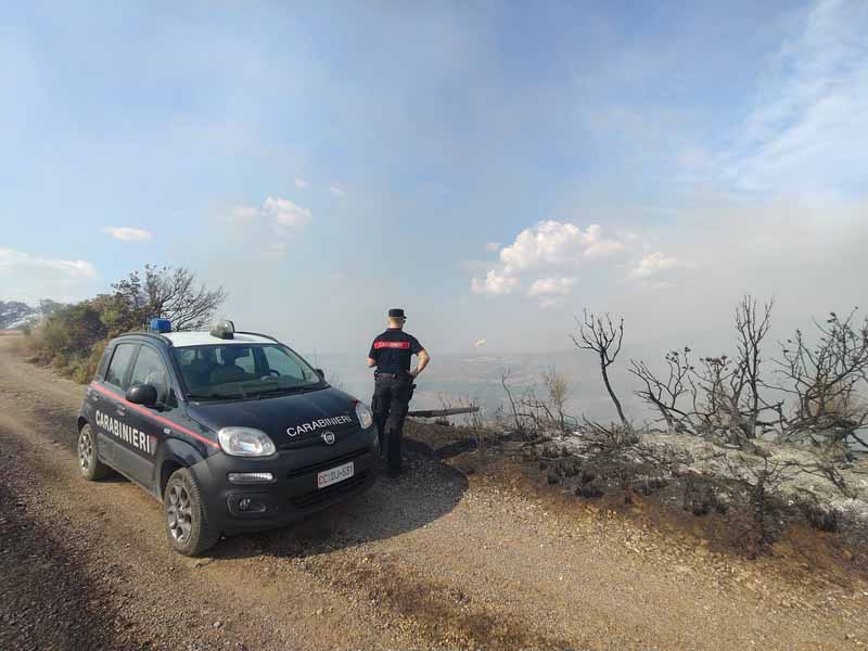 I carabinieri forestali sull'incendio di Cana